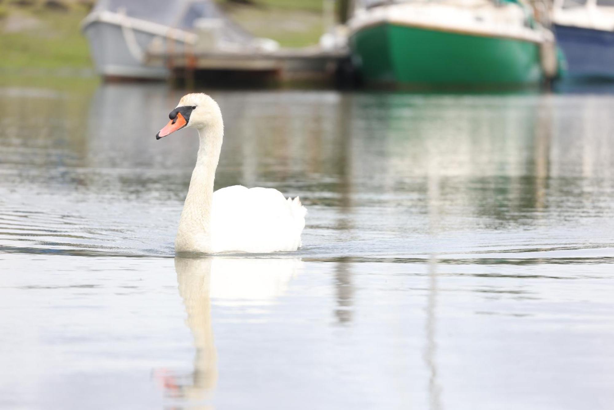 Mercury Yacht Harbour And Holiday Park Bursledon Luaran gambar